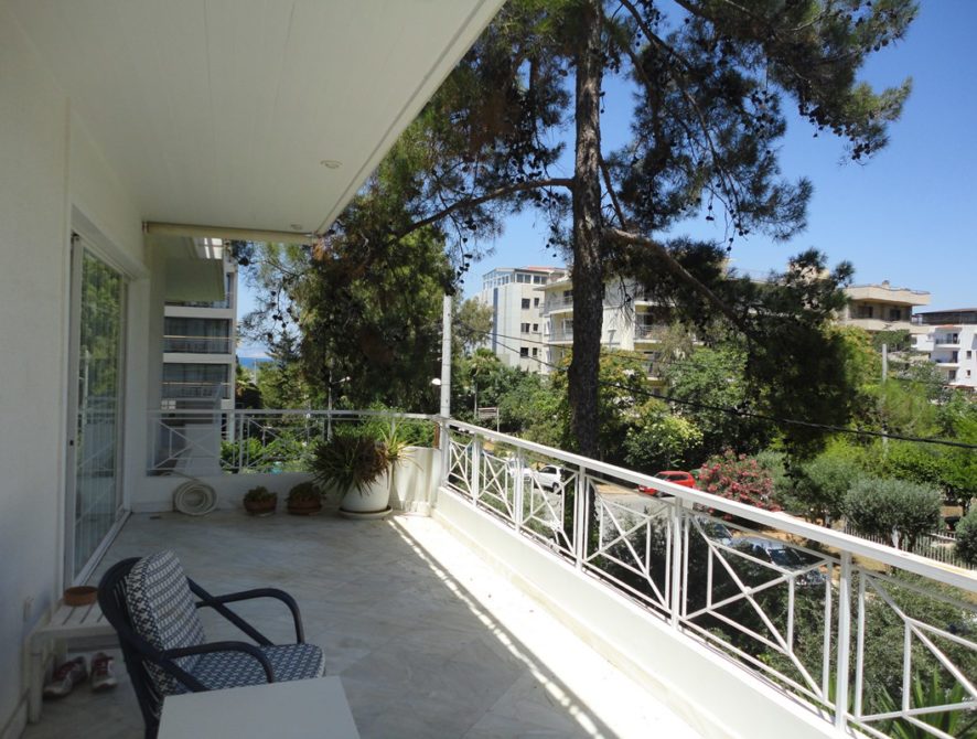 DSC03837 (Αντιγραφή)