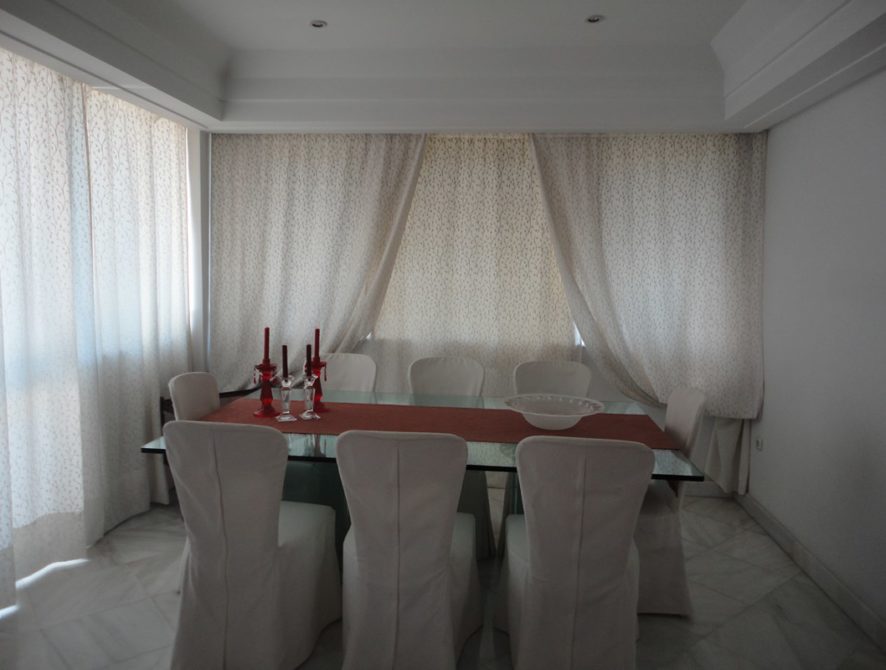 DSC03862 (Αντιγραφή)