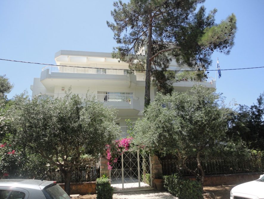 DSC03868 (Αντιγραφή)