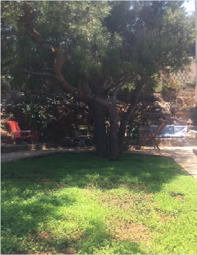 garden