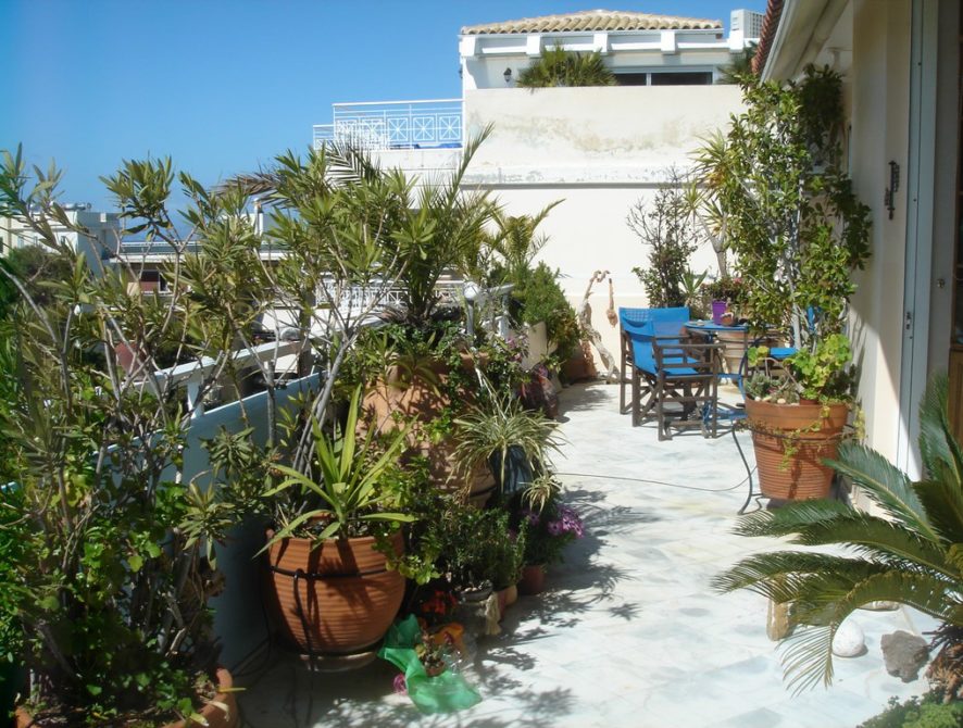image10