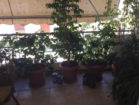 unnamed (1)