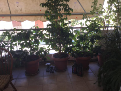 Apartment in Glyfada