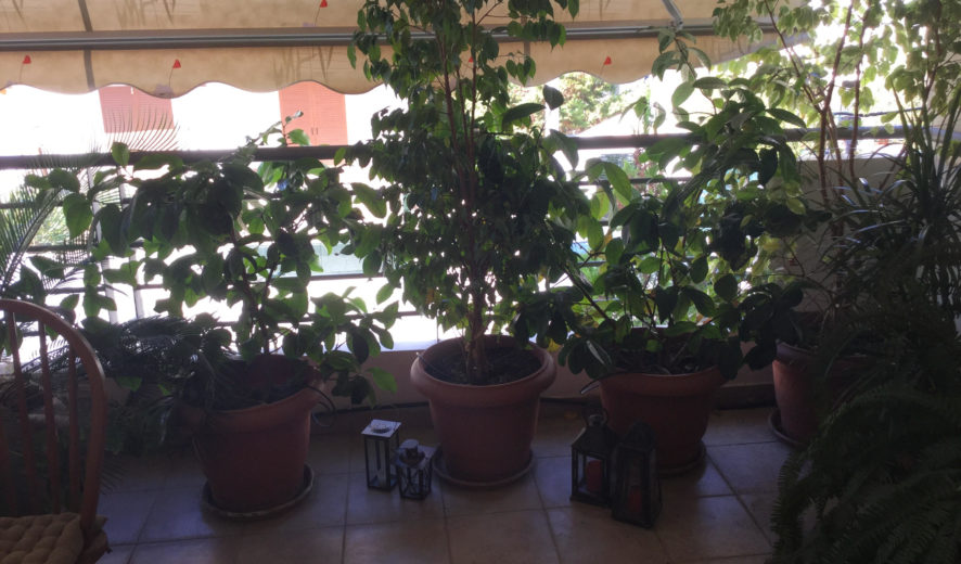Apartment in Glyfada