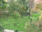 βΕΡΓΑ 2010 027