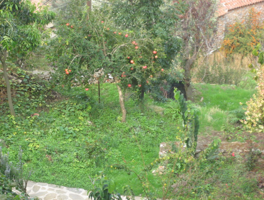 βΕΡΓΑ 2010 027
