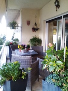 Renovated Apartment in Palaio Faliro